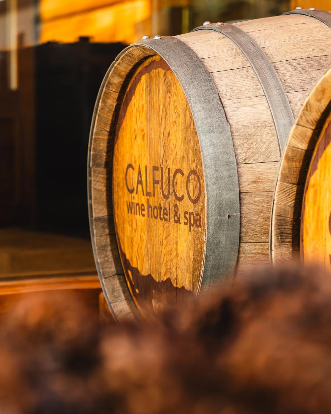 Calfuco Wine Hotel & Spa Puerto Manzano Exterior photo